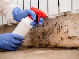 Why You Should Choose Our Mold Remediation Services in Como, WI